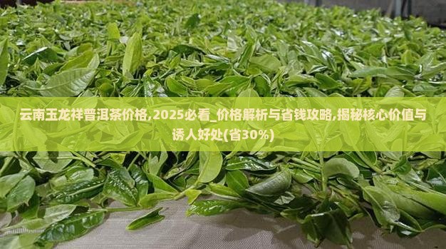 云南玉龙祥普洱茶价格
