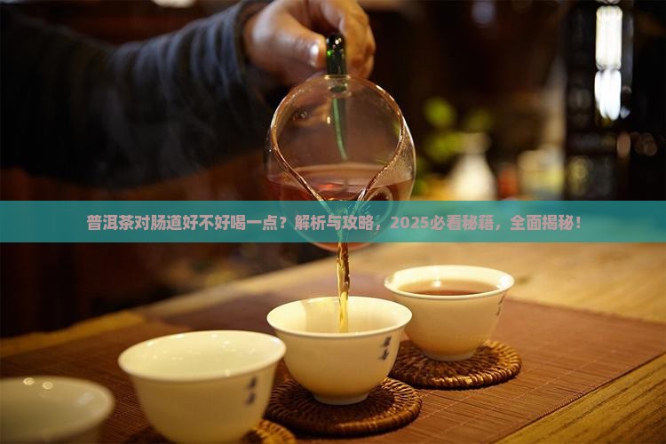 普洱茶对肠道好不好喝一点