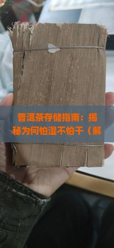 普洱茶怕湿不怕干吗为什么