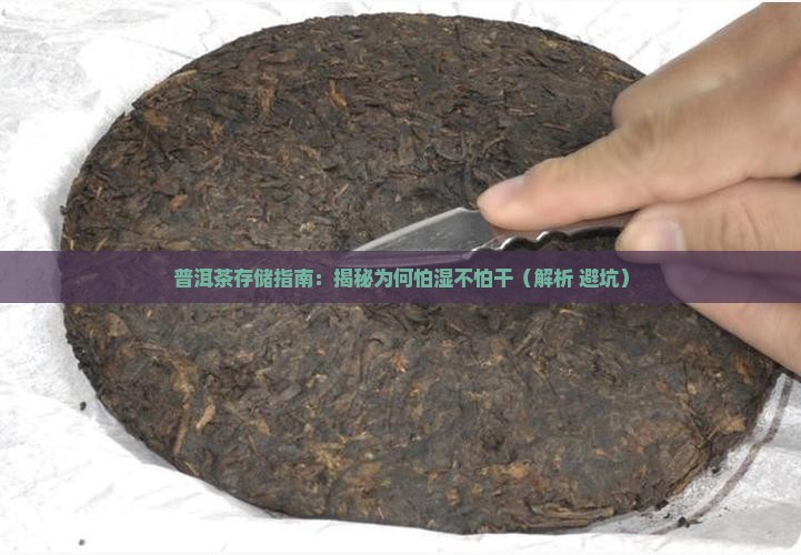 普洱茶怕湿不怕干吗为什么