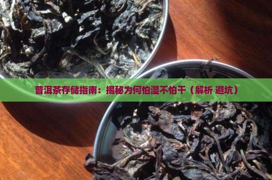 普洱茶怕湿不怕干吗为什么
