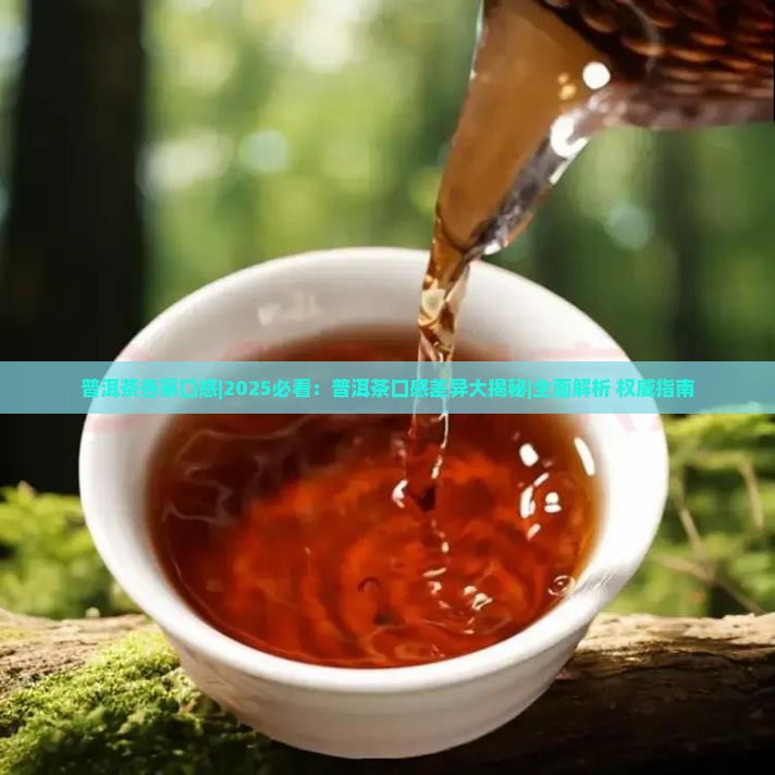 普洱茶各寨口感