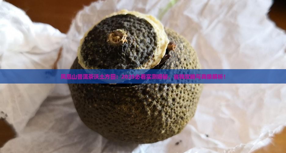 凤凰山普洱茶沃土方田