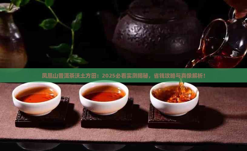 凤凰山普洱茶沃土方田