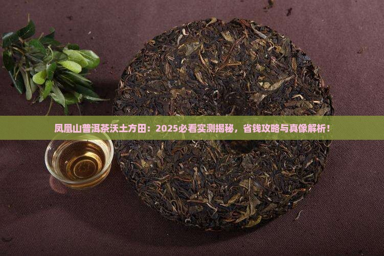 凤凰山普洱茶沃土方田