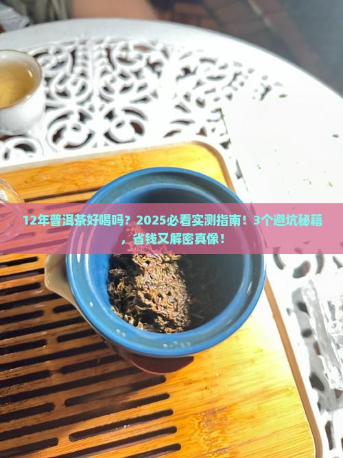 12年普洱茶好喝吗值得买吗