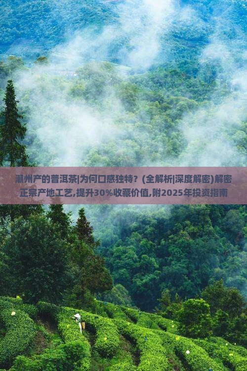 潮州产的普洱茶