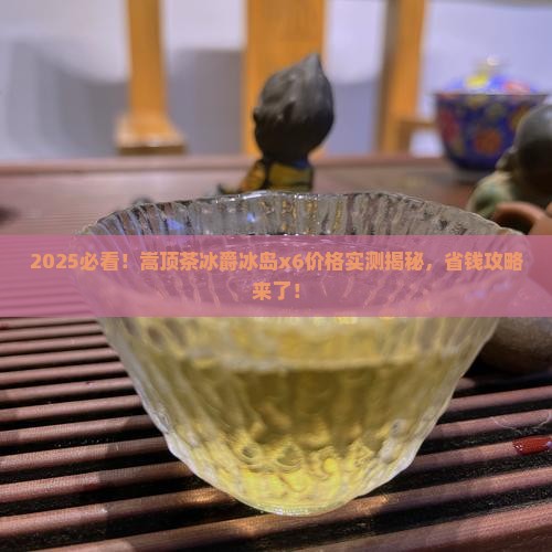 嵩顶茶冰爵冰岛x6价格