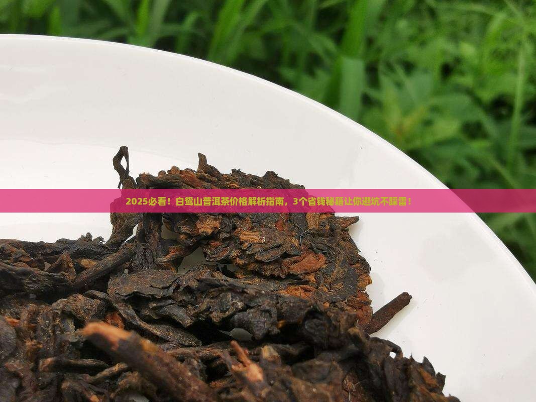 白鸳山普洱茶价格