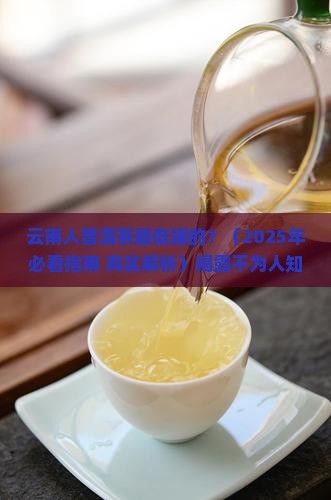 云南人普洱茶最低端的