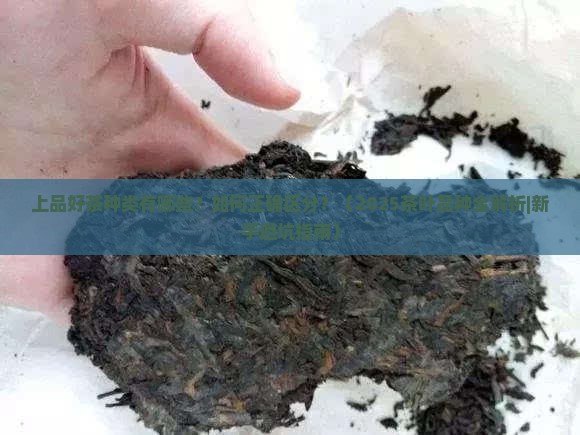 上品好茶种类名称大全
