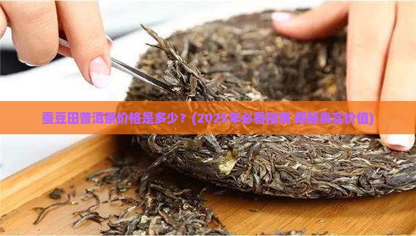 蚕豆田普洱茶价格是多少