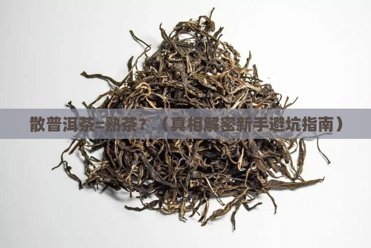 散普洱茶是熟茶