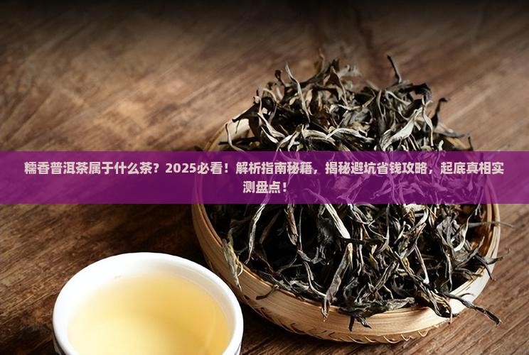 糯香普洱茶属于什么茶