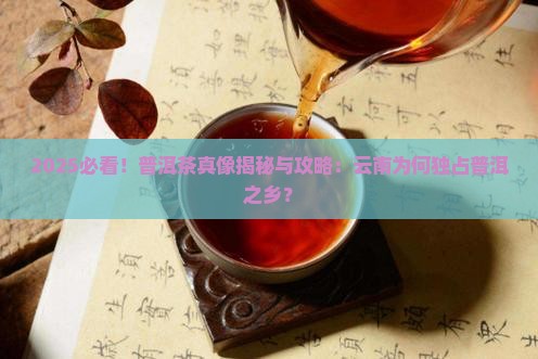 为什么云南才叫普洱茶之乡