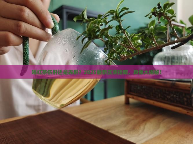 喝红茶伤肝吗红茶养肝吗