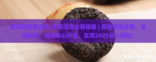 普洱茶需要清洗 普洱茶需要清洗