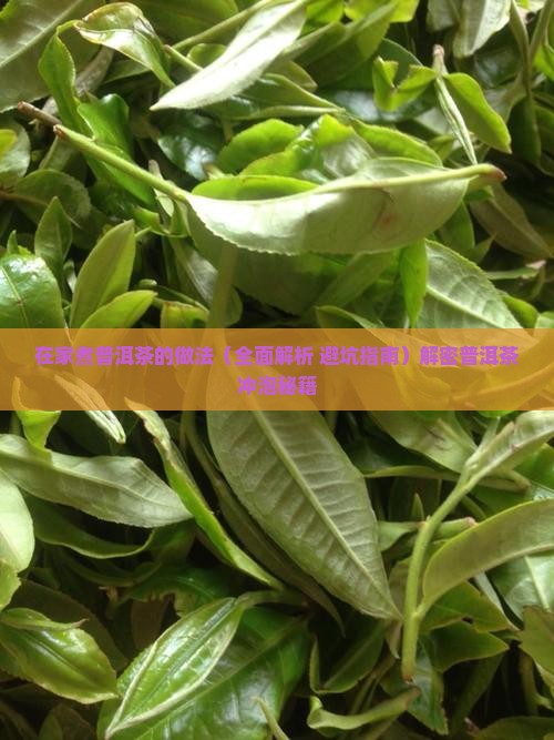 在家煮普洱茶的做法