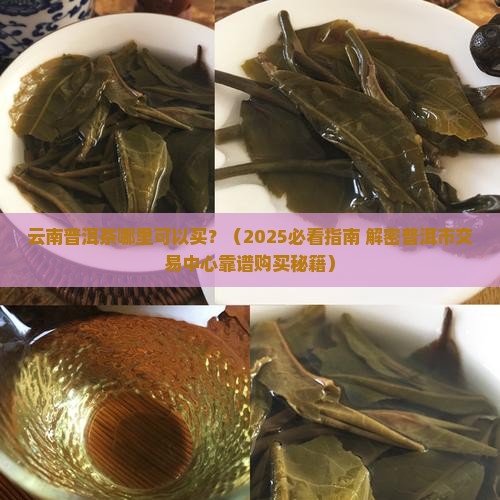 云南普洱茶在哪里可以买到 云南普洱茶在哪里可以买到