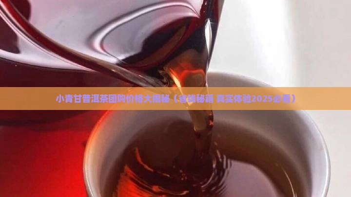 小青甘普洱茶团购多少钱
