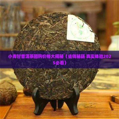 小青甘普洱茶团购多少钱