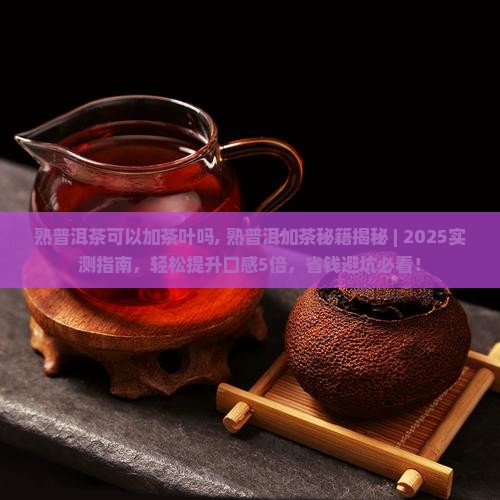 熟普洱茶可以加茶叶吗