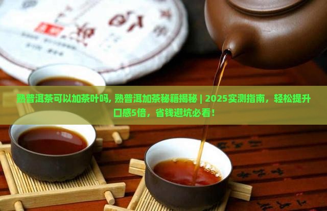 熟普洱茶可以加茶叶吗