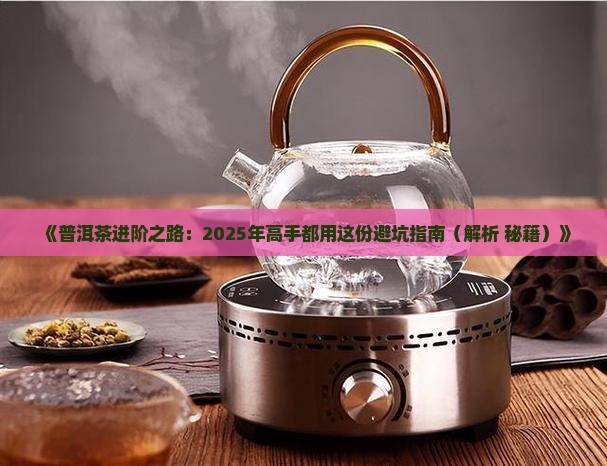普洱茶进阶推荐