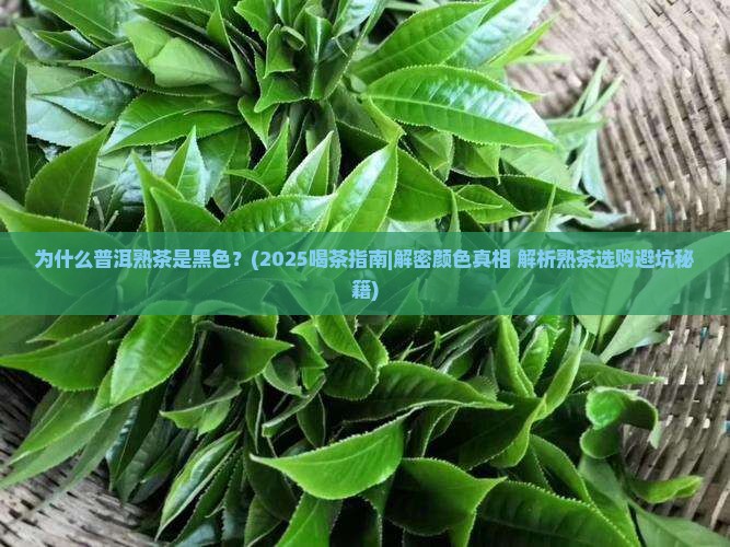 普洱熟茶的颜色黑色
