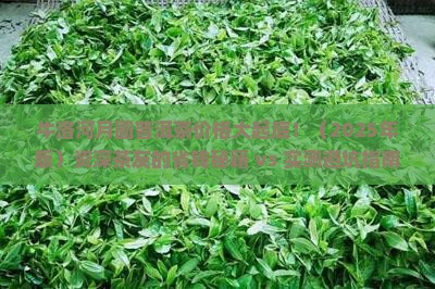 牛洛河月圆普洱茶价格