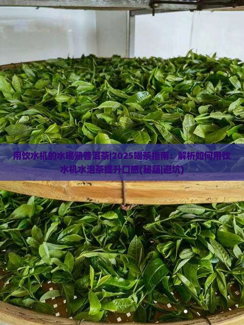 用饮水机的水喝熟普洱茶