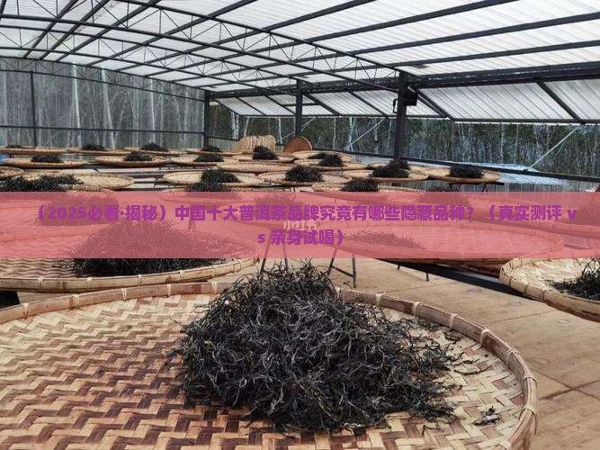 中国十大普洱茶品牌有哪些品种