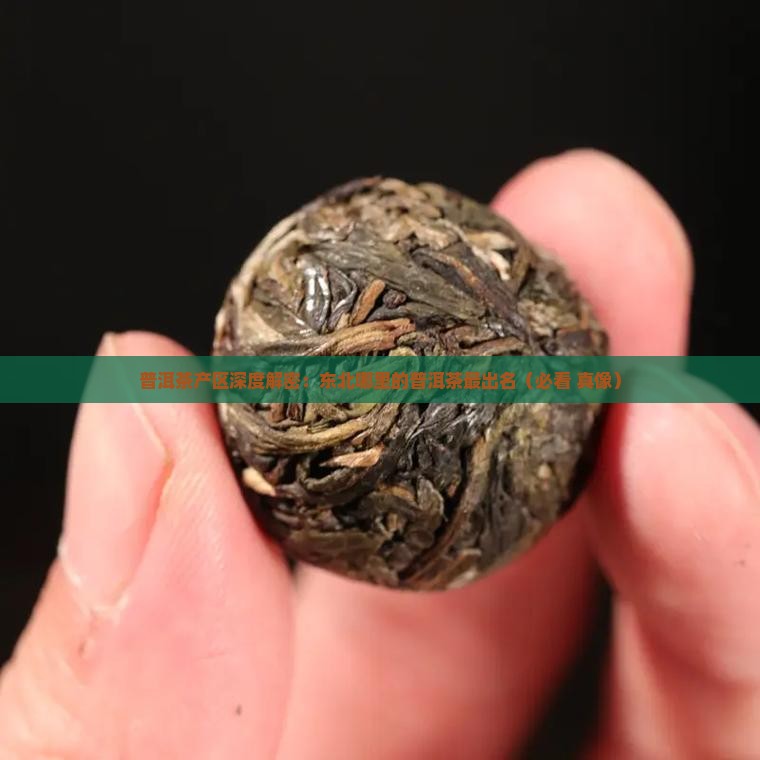 普洱茶在东北哪个区有名