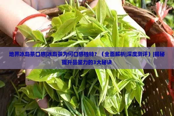 地界冰岛茶口感