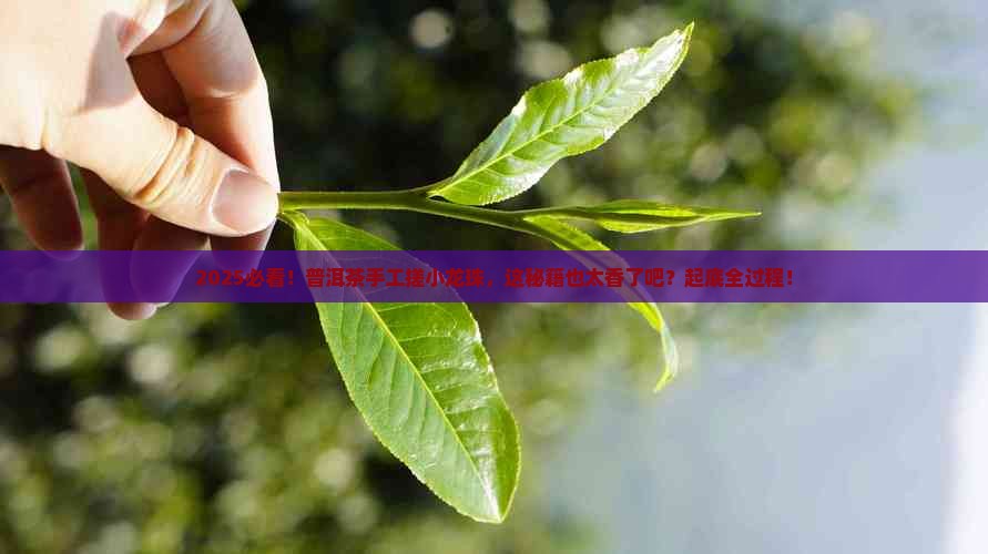 普洱茶手工搓小龙珠