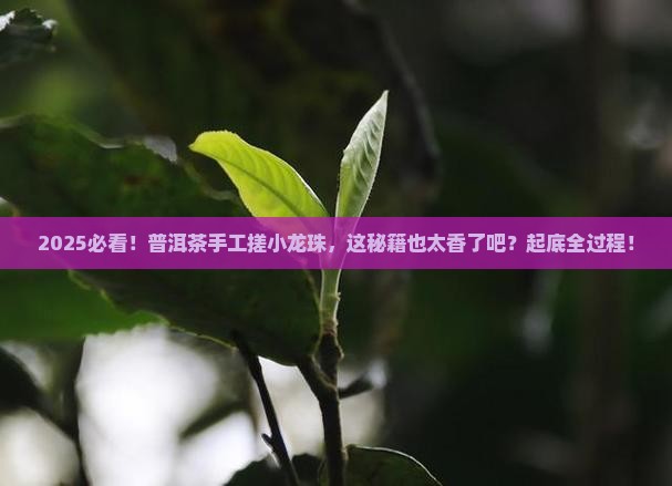 普洱茶手工搓小龙珠