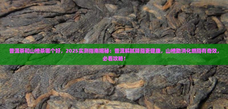 普洱茶和山楂茶哪个好