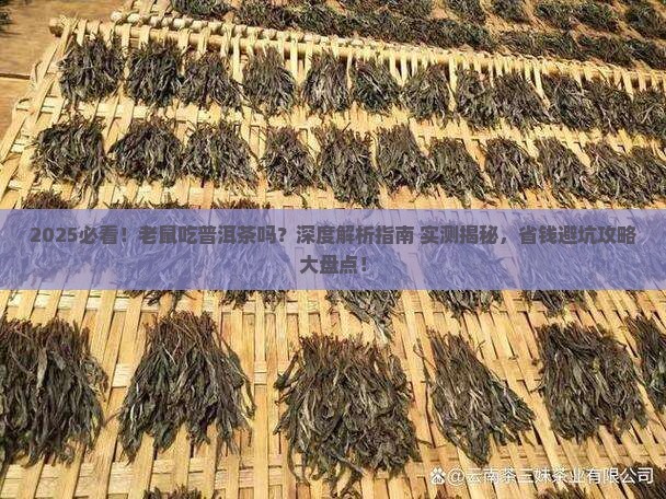 老鼠吃普洱茶吗