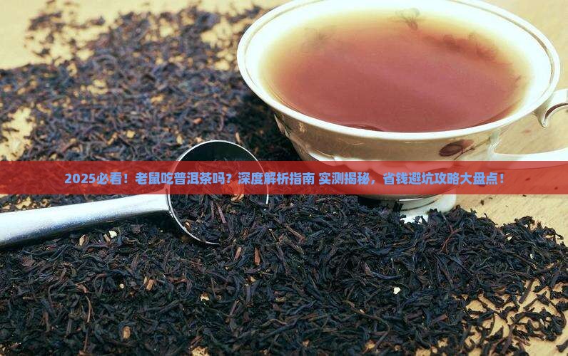 老鼠吃普洱茶吗