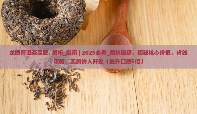 龙园普洱茶品牌