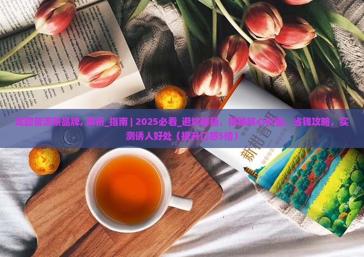 龙园普洱茶品牌