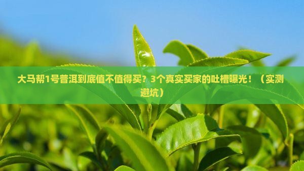 大马帮1号普洱怎么样