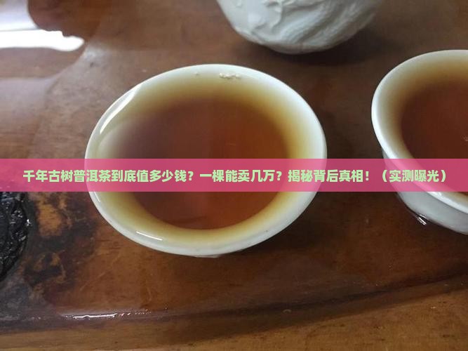 千年古树普洱茶多少钱一棵