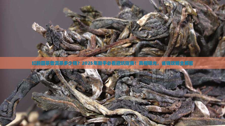 红韵圆茶普洱茶什么价钱