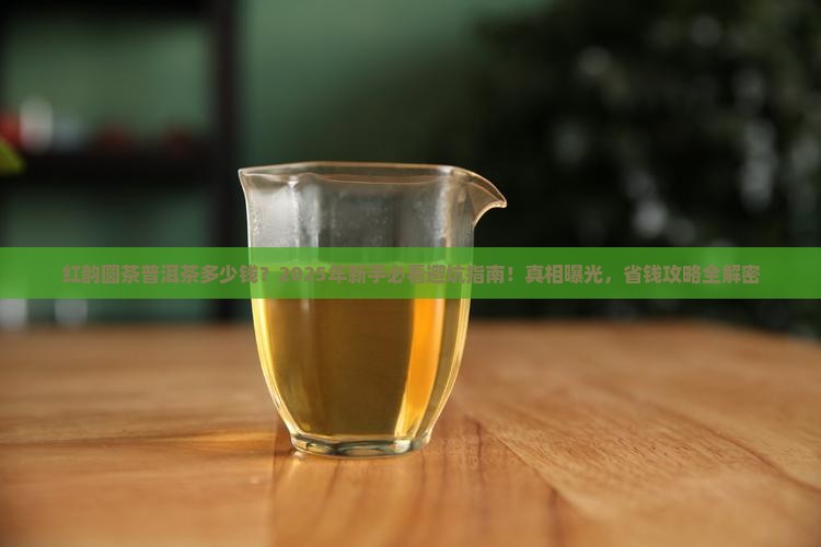 红韵圆茶普洱茶什么价钱