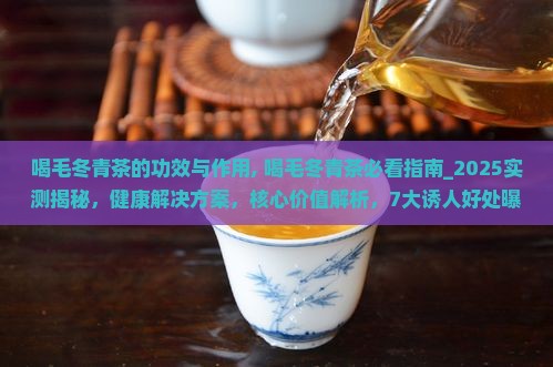 喝毛冬青茶的功效与作用