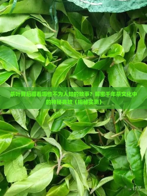 关于茶叶的典故
