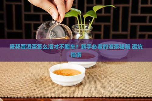 倚邦普洱茶泡法