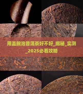 用盖腕泡普洱茶好不好