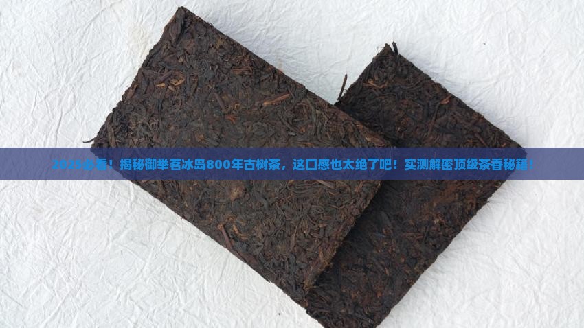 御举茗冰岛800年古树茶